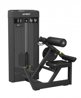 Разгибание спины Spirit SP-4310